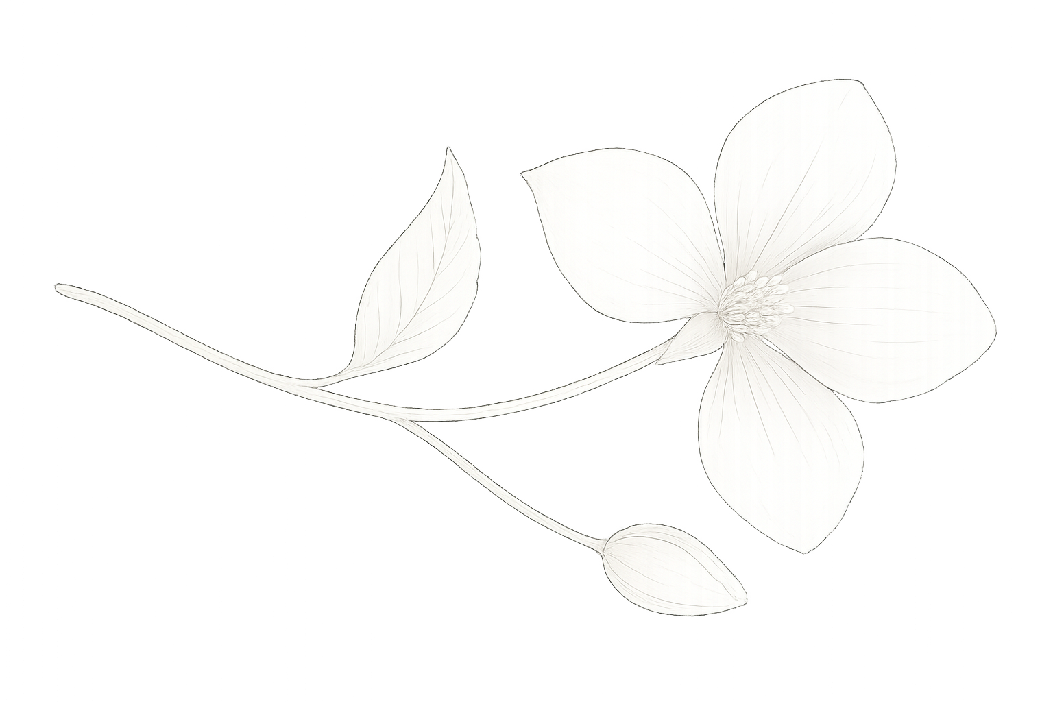 Vergissmeinnicht_Blumen_und_mehr_Blume2_quer Vergissmeinnicht_Blumen_und_mehr_Blume2_quer